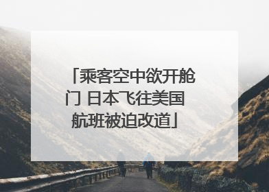 乘客空中欲开舱门 日本飞往美国航班被迫改道