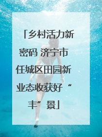 乡村活力新密码 济宁市任城区田园新业态收获好“丰”景