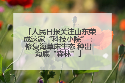 人民日报关注山东荣成这家“科技小院”：修复海草床生态 种出海底“森林”