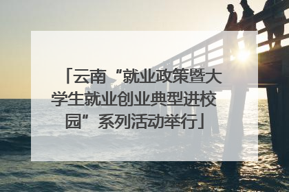 云南“就业政策暨大学生就业创业典型进校园”系列活动举行