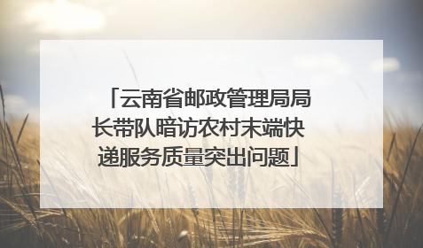 云南省邮政管理局局长带队暗访农村末端快递服务质量突出问题