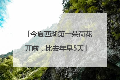 今夏西湖第一朵荷花开啦，比去年早5天