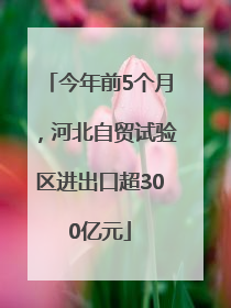 今年前5个月，河北自贸试验区进出口超300亿元