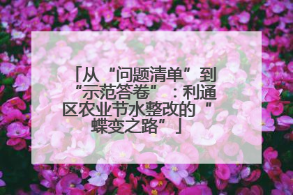 从“问题清单”到“示范答卷”：利通区农业节水整改的“蝶变之路”