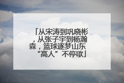 从宋涛到巩晓彬，从张子宇到杨瀚森，篮球逐梦山东“高人”不停歇