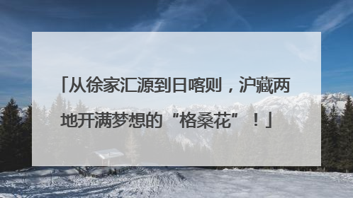 从徐家汇源到日喀则，沪藏两地开满梦想的“格桑花”！
