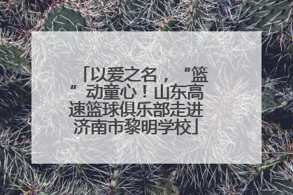 以爱之名，“篮”动童心！山东高速篮球俱乐部走进济南市黎明学校