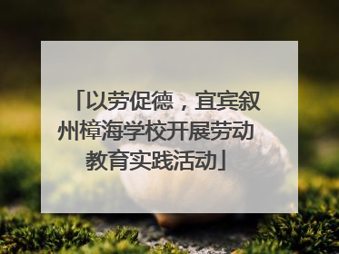 以劳促德，宜宾叙州樟海学校开展劳动教育实践活动