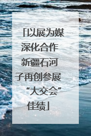 以展为媒 深化合作 新疆石河子再创参展“大交会”佳绩