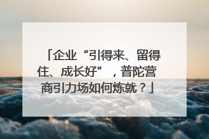 企业“引得来、留得住、成长好”，普陀营商引力场如何炼就？