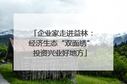 企业家走进益林：经济生态“双面绣” 投资兴业好地方