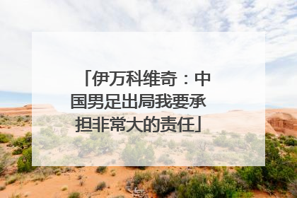 伊万科维奇：中国男足出局我要承担非常大的责任