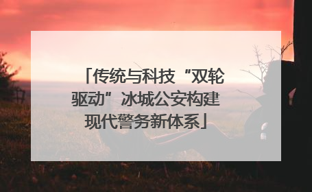 传统与科技“双轮驱动”冰城公安构建现代警务新体系