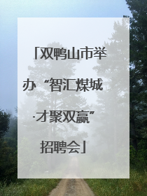 双鸭山市举办“智汇煤城·才聚双赢”招聘会