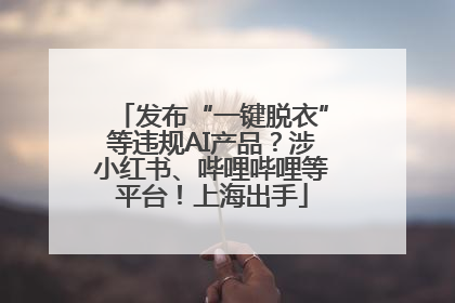 发布“一键脱衣”等违规AI产品？涉小红书、哔哩哔哩等平台！上海出手
