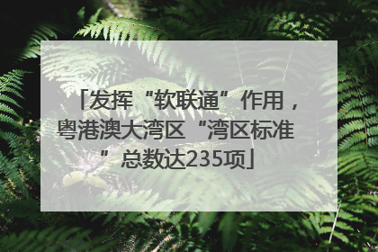 发挥“软联通”作用，粤港澳大湾区“湾区标准”总数达235项