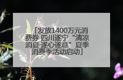 发放1400万元消费券 四川遂宁“清凉消夏·遂心遂意”夏季消费季活动启动