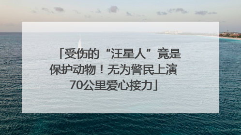 受伤的“汪星人”竟是保护动物！无为警民上演70公里爱心接力
