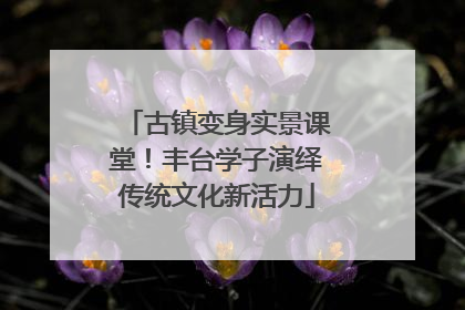 古镇变身实景课堂！丰台学子演绎传统文化新活力