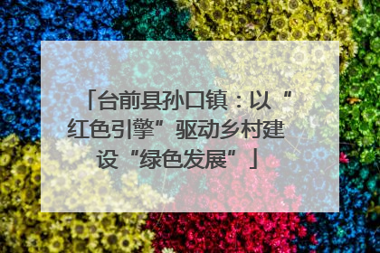 台前县孙口镇：以“红色引擎”驱动乡村建设“绿色发展”