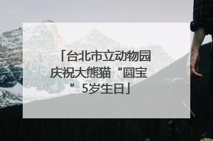 台北市立动物园庆祝大熊猫“圆宝”5岁生日