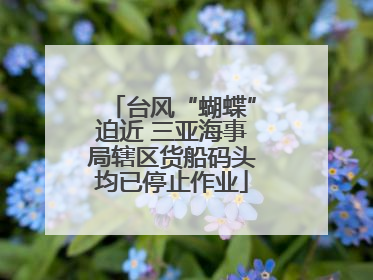 台风“蝴蝶”迫近 三亚海事局辖区货船码头均已停止作业