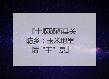 十堰郧西县关防乡：玉米地里话“丰”景