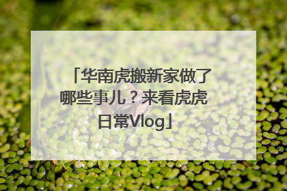 华南虎搬新家做了哪些事儿？来看虎虎日常Vlog