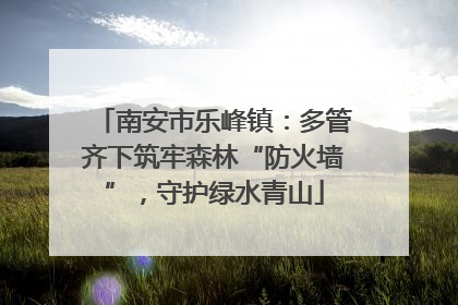 南安市乐峰镇：多管齐下筑牢森林“防火墙”，守护绿水青山