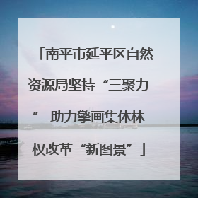 南平市延平区自然资源局坚持“三聚力” 助力擎画集体林权改革“新图景”