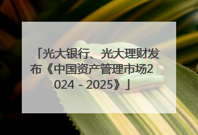 光大银行、光大理财发布《中国资产管理市场2024－2025》