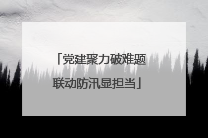 党建聚力破难题 联动防汛显担当