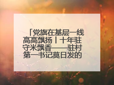 党旗在基层一线高高飘扬丨十年驻守米飘香——驻村第一书记莫日发的乡村印记