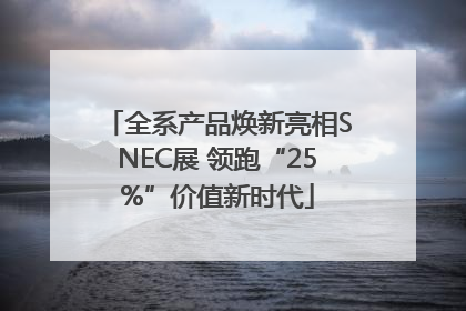 全系产品焕新亮相SNEC展 领跑“25%”价值新时代