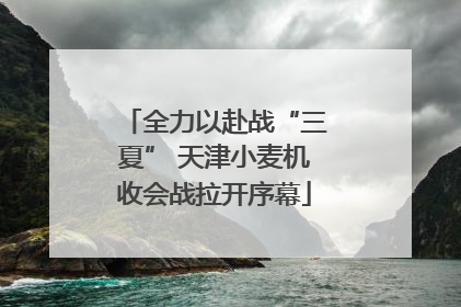 全力以赴战“三夏” 天津小麦机收会战拉开序幕