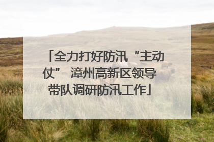 全力打好防汛“主动仗” 漳州高新区领导带队调研防汛工作