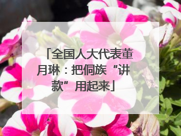 全国人大代表董月琳：把侗族“讲款”用起来