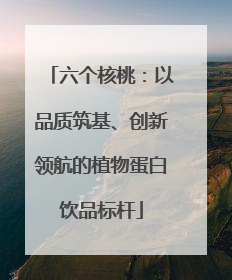 六个核桃：以品质筑基、创新领航的植物蛋白饮品标杆