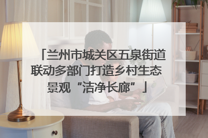 兰州市城关区五泉街道联动多部门打造乡村生态景观“洁净长廊”