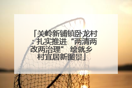 关岭新铺镇卧龙村：扎实推进“两清两改两治理” 绘就乡村宜居新图景