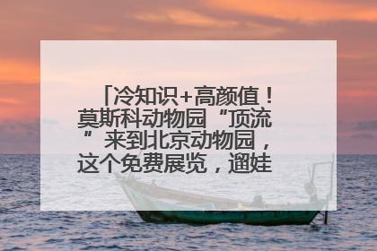 冷知识+高颜值！莫斯科动物园“顶流”来到北京动物园，这个免费展览，遛娃拍照两不误！