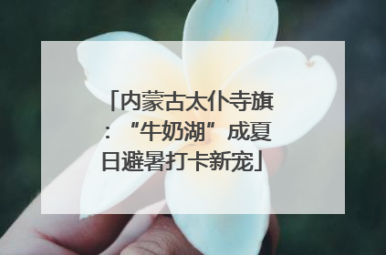 内蒙古太仆寺旗：“牛奶湖”成夏日避暑打卡新宠