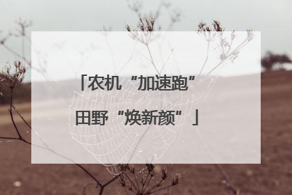 农机“加速跑” 田野“焕新颜”