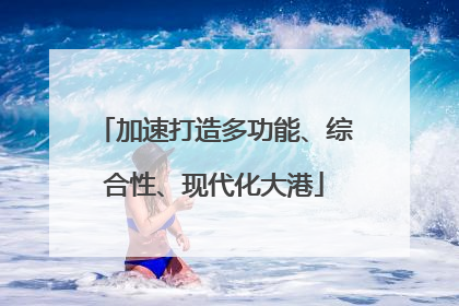 加速打造多功能、综合性、现代化大港