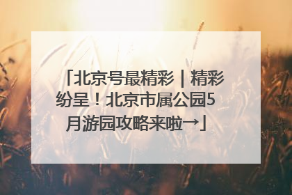 北京号最精彩｜精彩纷呈！北京市属公园5月游园攻略来啦→