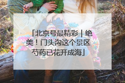 北京号最精彩｜绝美！门头沟这个景区芍药已花开成海