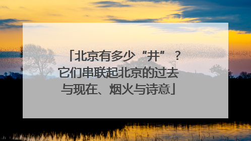 北京有多少“井”？它们串联起北京的过去与现在、烟火与诗意