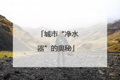 城市“净水器”的奥秘