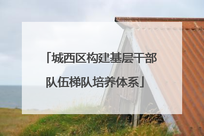 城西区构建基层干部队伍梯队培养体系