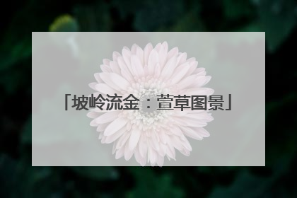 坡岭流金：萱草图景
